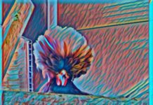 Déco : des cadres photos, version oeuvre d’art !