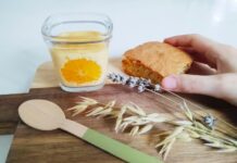 Crème dessert à la clémentine – Multidélices